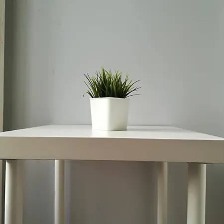 Briosa Studio 코임브라
